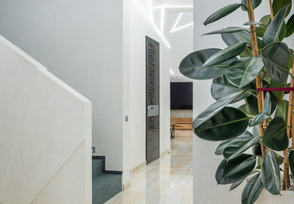 How to successfully move your plants?