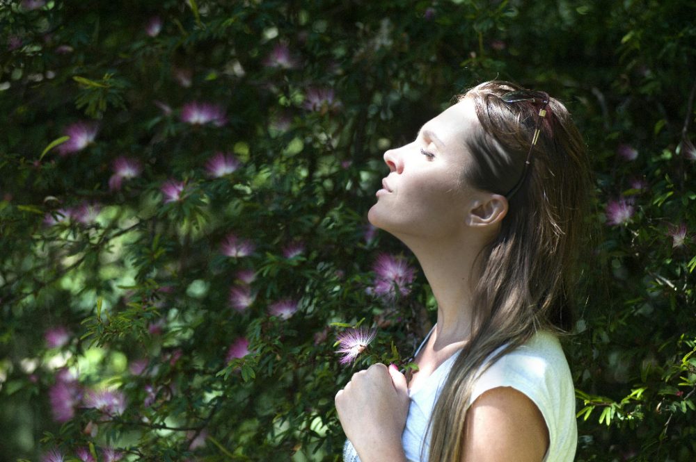 The quietest neighborhoods in NYC to move to