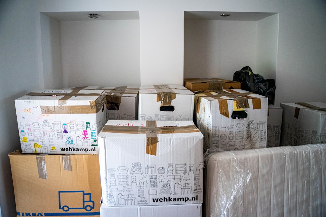 Up N Go professional packing service in action
